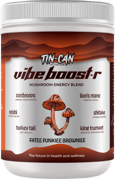 "Welcome Box" -Fatee Funkiee Browniee With Vibe Mixer